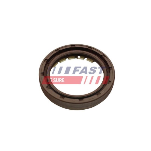 Wellendichtring Differential Fast FT49806 f&uuml;r Citro&euml;n Fiat Ausgang
