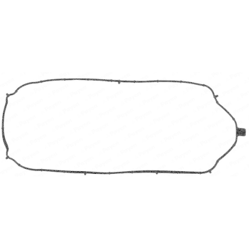 Dichtung Zylinderkopfhaube Payen JM7125 f&uuml;r Renault
