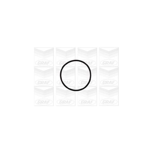 Wasserpumpe Motork&uuml;hlung Graf PA837 f&uuml;r Citro&euml;n Fiat Peugeot