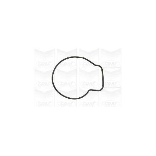 Wasserpumpe Motorkühlung Graf PA876 für Honda Eastern Coach Works Advance