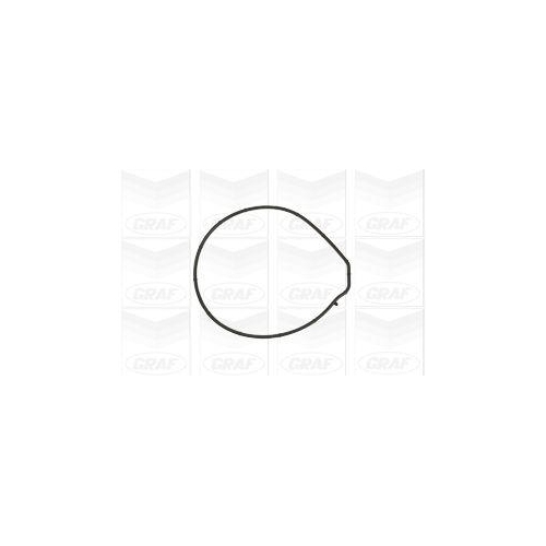 Wasserpumpe Motork&uuml;hlung Graf PA884 f&uuml;r MG Rover Land Rover