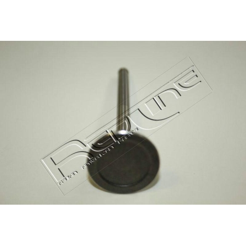 Auslassventil Red-line 15DW005 f&uuml;r Chevrolet Daewoo