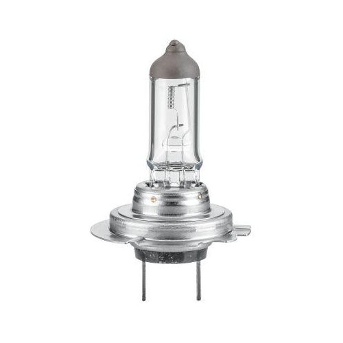 Gl&uuml;hlampe Hauptscheinwerfer Hella 8GH 217 337-101 Standard f&uuml;r