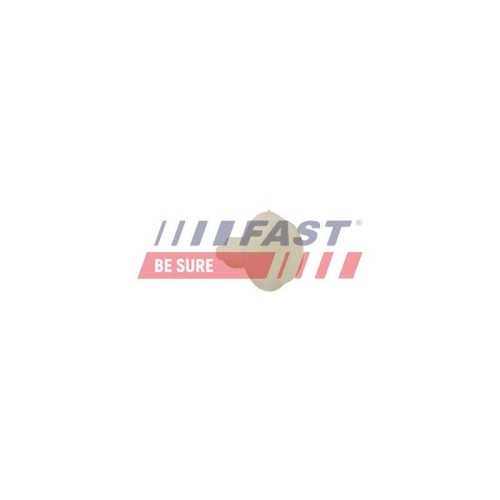 Spreizniet Fast FT96311 f&uuml;r Chrysler Fiat Iveco VW Chevrolet