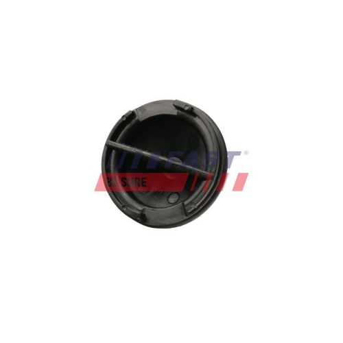 Verschlussschraube Automatikgetriebegeh&auml;use Fast FT49501 f&uuml;r Citro&euml;n Fiat Ford