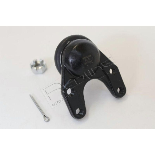 Trag /f&uuml;hrungsgelenk Red-line 40MZ078 f&uuml;r Mazda Vorderachse Unten