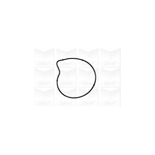 Wasserpumpe Motork&uuml;hlung Graf PA978 f&uuml;r Mercedes Benz Mercedes Benz Mitsubishi