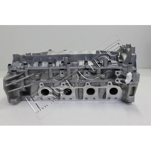 Zylinderkopf Red-line 21NI033 f&uuml;r Opel Renault Vauxhall