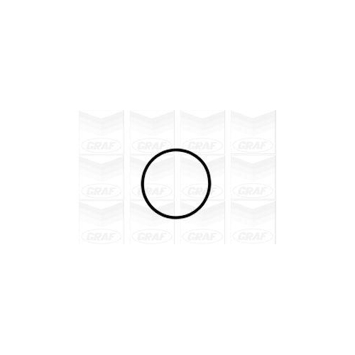 Wasserpumpe Motork&uuml;hlung Graf PA1041 f&uuml;r Audi Ford Porsche Seat Skoda VW Advance