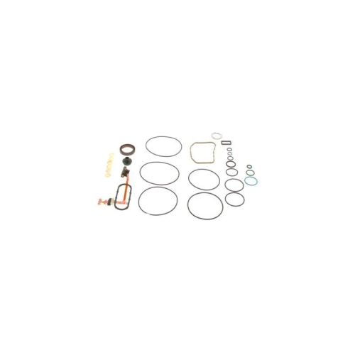 Dichtungssatz Einspritzpumpe Bosch F00N300364 für