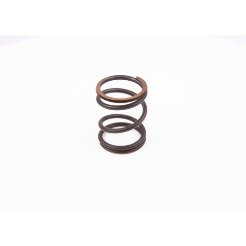 Spring Bosch 1424618044 for Berliet Daf Fiat Iveco Lancia Magirus Deutz Man