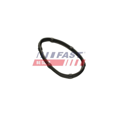 Dichtung Abgaskr&uuml;mmer Fast FT49457 f&uuml;r Renault