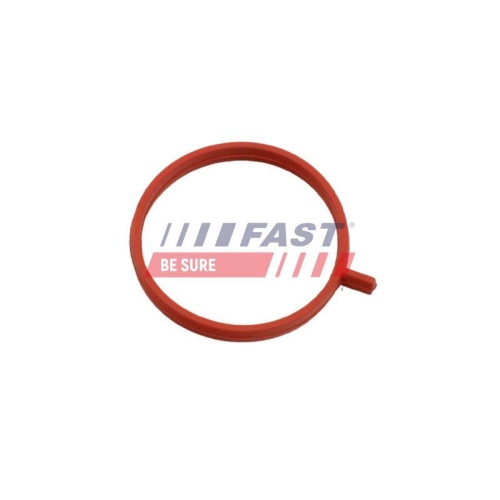 Dichtring Ladeluftschlauch Fast FT48963 f&uuml;r Fiat