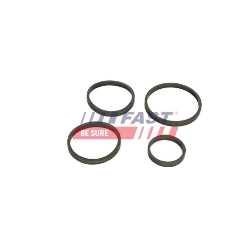 Dichtring &Ouml;lk&uuml;hler (schmierung) Fast FT48949 f&uuml;r Bmw Citro&euml;n Ford Mazda Volvo