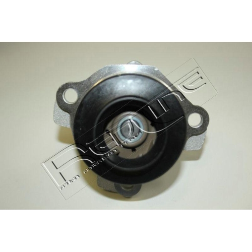Wasserpumpe Motork&uuml;hlung Red-line 28NI057 f&uuml;r Ford Nissan Opel Renault Bugatti