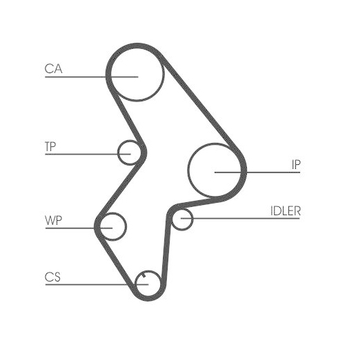 Zahnriemensatz Continental Ctam CT1061K2 f&uuml;r Alfa Romeo Citro&euml;n Fiat Lancia