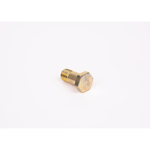Screw Bosch F002D13579 for Alfa Romeo Bmw Citro&euml;n Fiat International Harv. Iveco