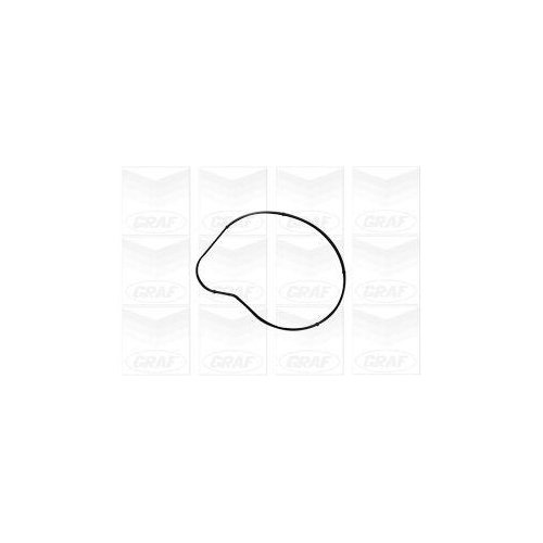 Wasserpumpe Motork&uuml;hlung Graf PA1058 f&uuml;r Bmw Advance