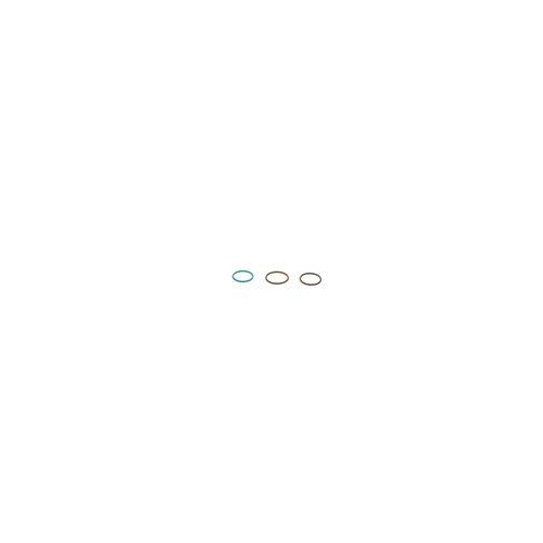 Dichtungssatz Einspritzd&uuml;se Bosch F00VX99996 f&uuml;r Iveco Mercedes Benz Case Ih