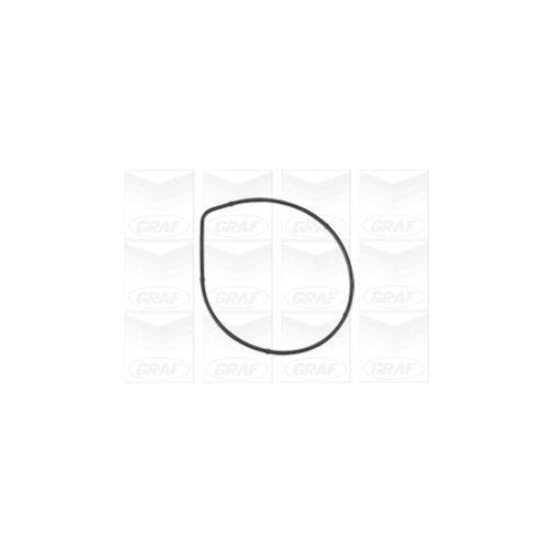 Wasserpumpe Motork&uuml;hlung Graf PA1072 f&uuml;r Audi Seat Skoda VW Vw (faw)