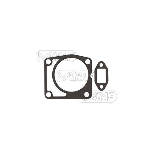 Wasserpumpe Motork&uuml;hlung Graf PA1249 f&uuml;r Lombardini