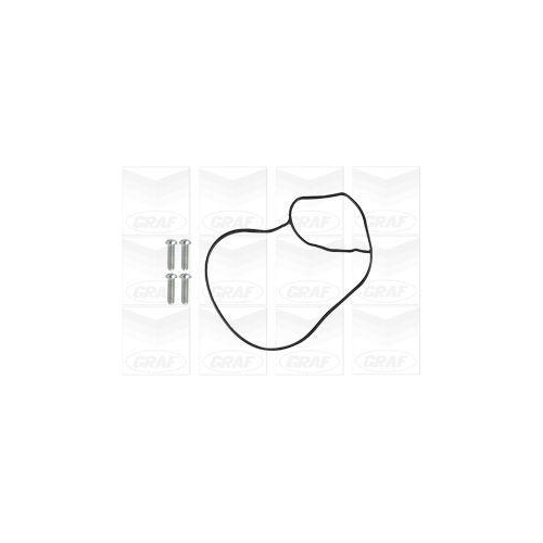 Wasserpumpe Motork&uuml;hlung Graf PA1246 f&uuml;r Audi Porsche Seat Skoda VW
