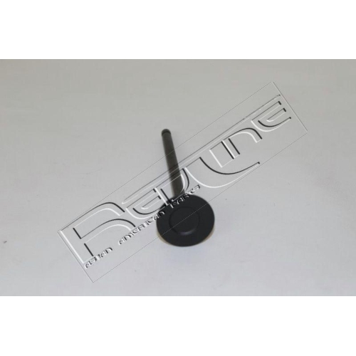 Auslassventil Red-line 15HY033 f&uuml;r Hyundai