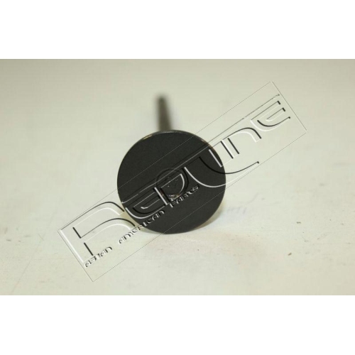 Auslassventil Red-line 15DR001 für