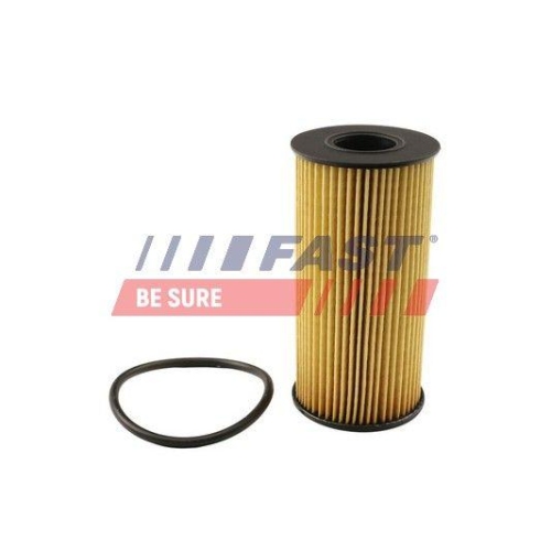 Ölfilter Fast FT38031 für Nissan Renault Fiat Mercedes Benz Mercedes Benz