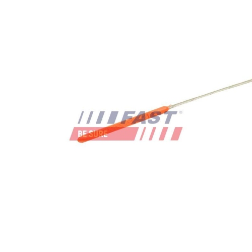 &Ouml;lpeilstab Fast FT80338 f&uuml;r Citro&euml;n Ford