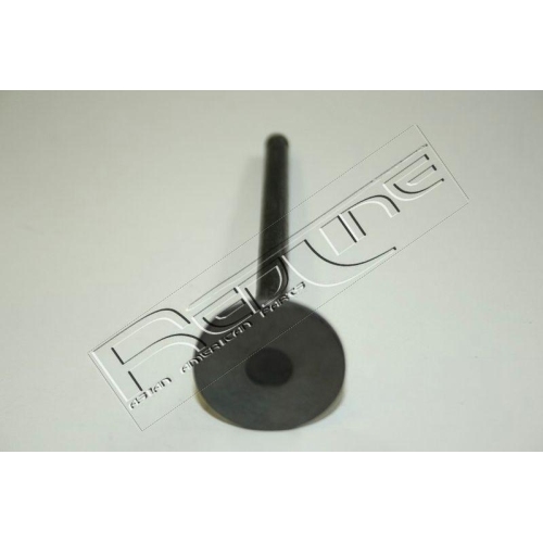 Auslassventil Red-line 15HY011 für Mitsubishi Hyundai