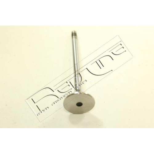 Auslassventil Red-line 15RV013 für Jaguar Citroën/peugeot Land Rover