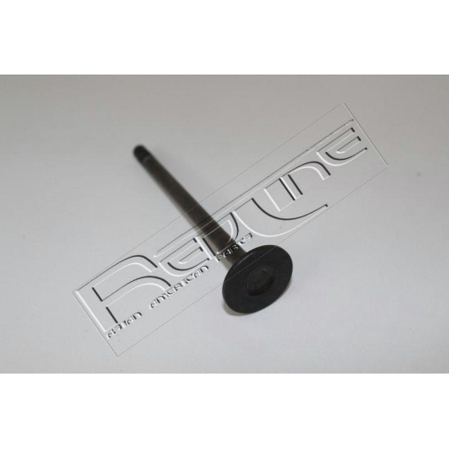 Auslassventil Red-line 15HY017 f&uuml;r Hyundai Kia