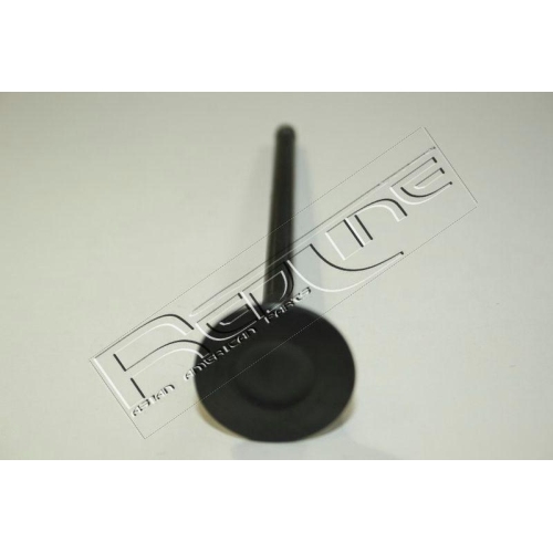 Auslassventil Red-line 15HY021 für Hyundai