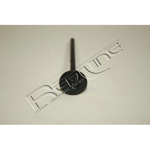 Auslassventil Red-line 15MZ003 f&uuml;r Mazda