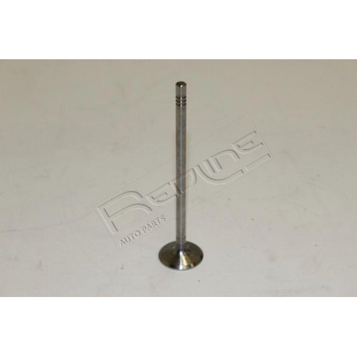 Einlassventil Red-line 15NI040 f&uuml;r Nissan Renault