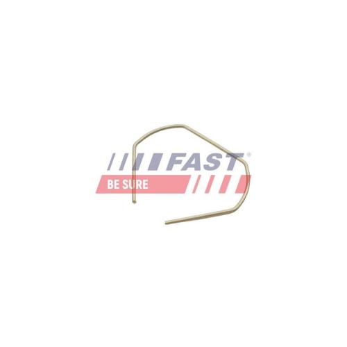 Clip Zier /schutzleiste Fast FT96319 f&uuml;r Citro&euml;n Fiat