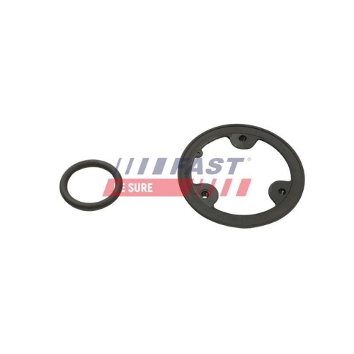 Dichtung &Ouml;lk&uuml;hler Fast FT48954 f&uuml;r Fiat Iveco Am W&auml;rmetauscher
