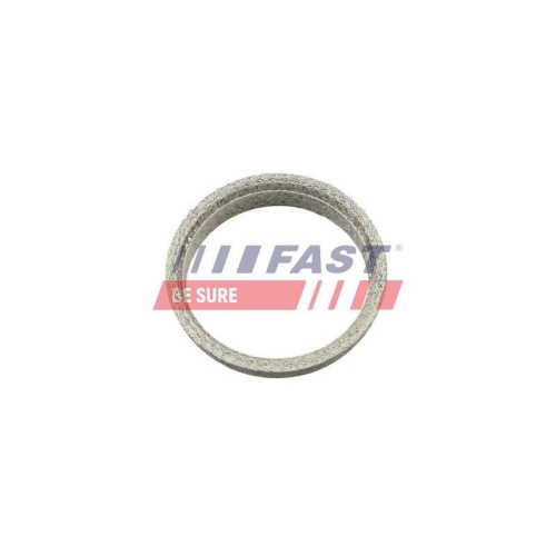 Dichtring Abgasrohr Fast FT84823 f&uuml;r Citro&euml;n Fiat