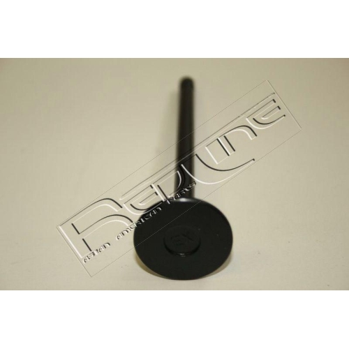 Auslassventil Red-line 15SZ003 für Suzuki