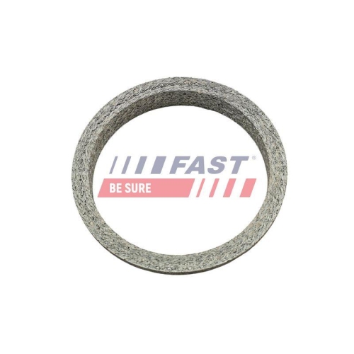 Dichtring Abgasrohr Fast FT84818 f&uuml;r Mercedes Benz Mercedes Benz Mercedes Benz