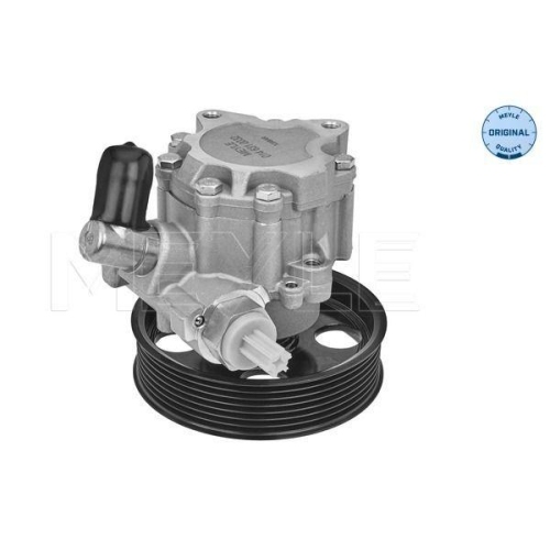 Hydraulikpumpe Lenkung Meyle 0146310032 Meyle-original: True To Oe. f&uuml;r