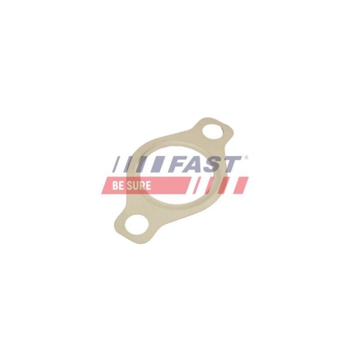 Dichtung Agr Ventil Fast FT50618 für Fiat Citroën Peugeot DS VM Iveco Chrysler
