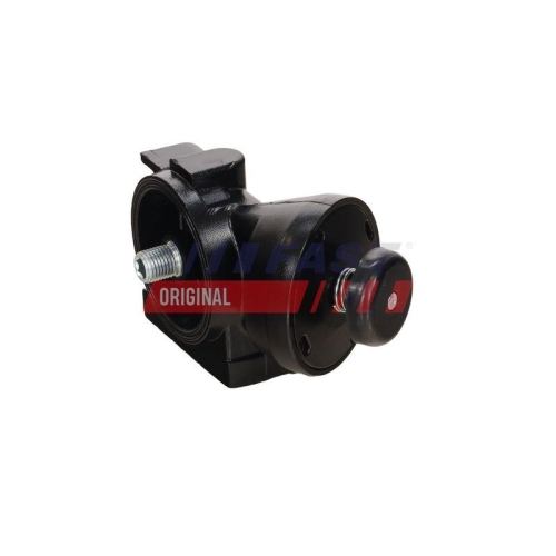 Kraftstoffpumpe Fast FT53649 f&uuml;r Citro&euml;n Fiat Iveco Renault