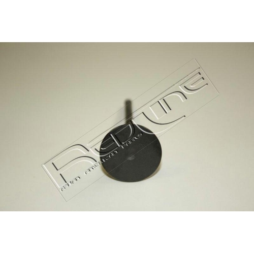 Einlassventil Red-line 15NI036 f&uuml;r Mercedes Benz Mercedes Benz Nissan Renault