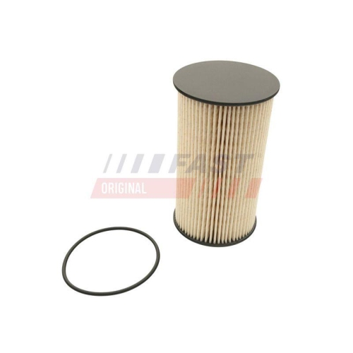 Filter Kraftstoff F&ouml;rdereinheit Fast FT39120 f&uuml;r VW