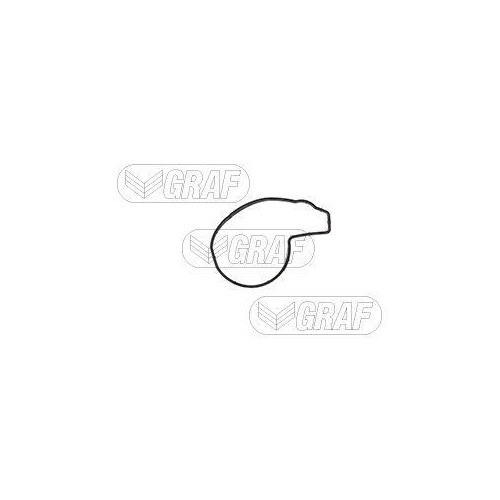 Wasserpumpe Motork&uuml;hlung Graf PA1351 f&uuml;r Mini