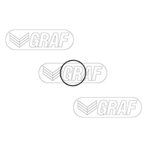 Wasserpumpe Motork&uuml;hlung Graf PA1350 f&uuml;r Hyundai Kia