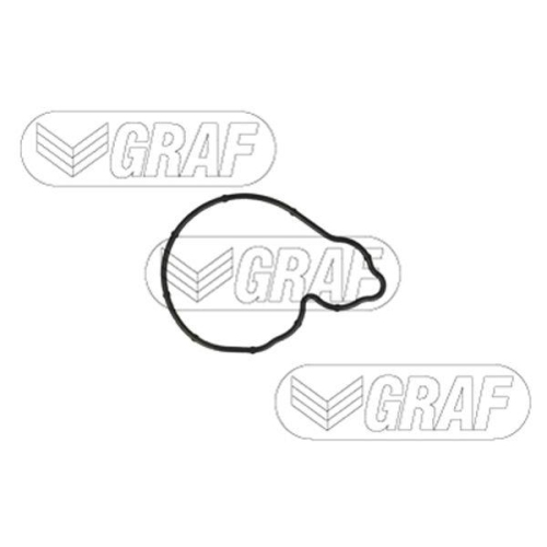 Wasserpumpe Motork&uuml;hlung Graf PA1380 f&uuml;r Bmw