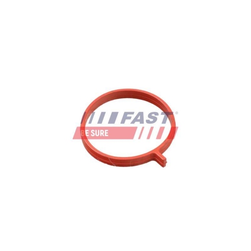 Dichtring Fast FT48959 f&uuml;r Fiat
